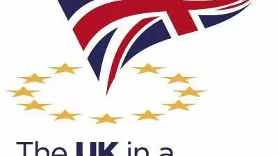 uk in a changing europe logo